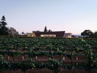 A Farm With Rows Of Plants